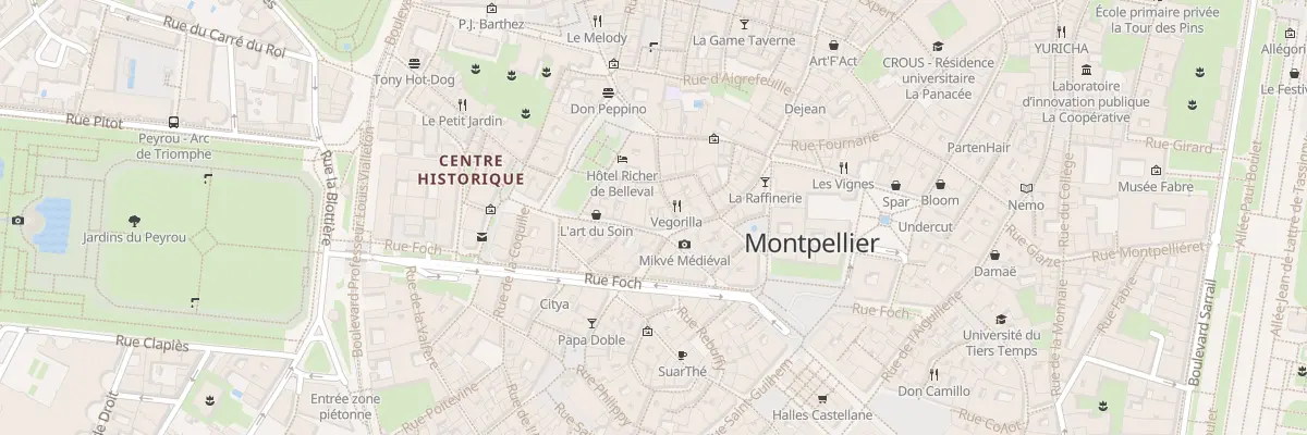 Plan du 3 Rue du Palais des Guilhem à Montpellier