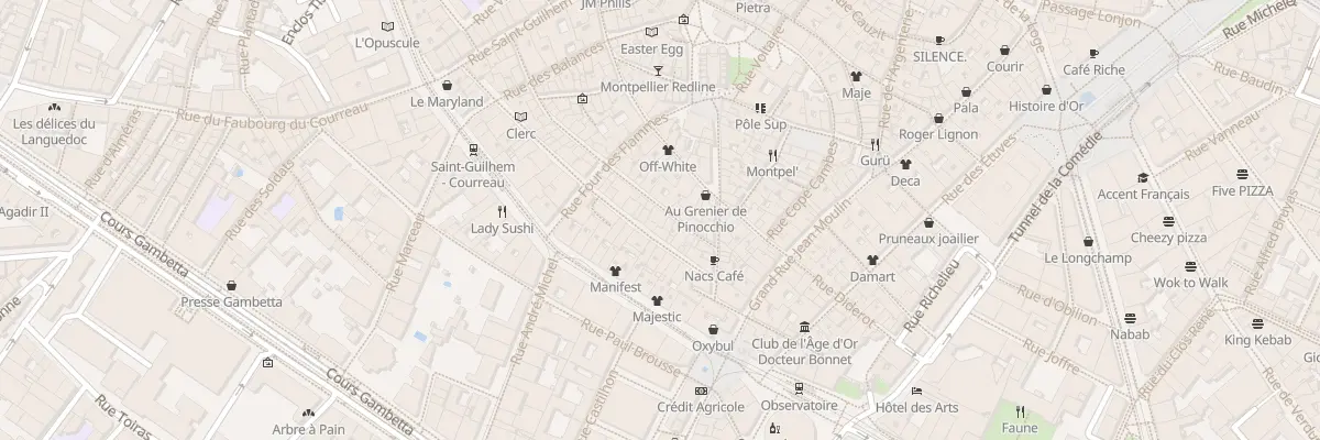 Plan du 42 Rue Roucher à Montpellier