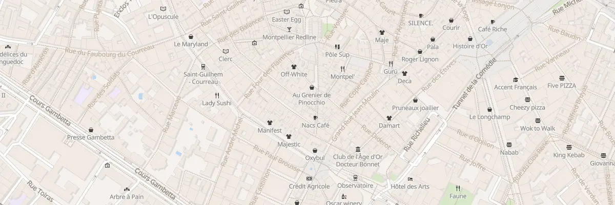 Plan du 45 Rue Roucher à Montpellier
