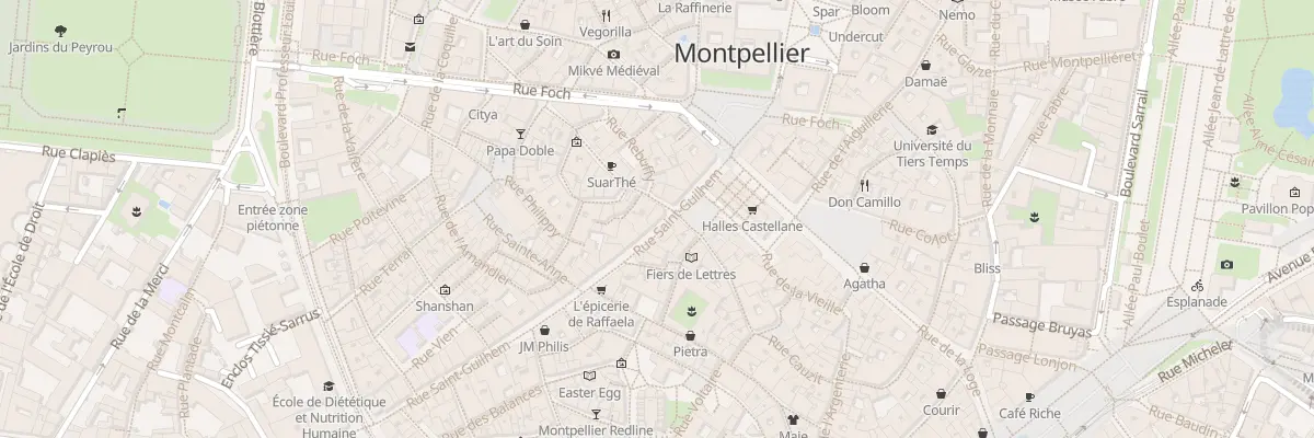 Plan du 4 Rue Draperie Saint Firmin à Montpellier