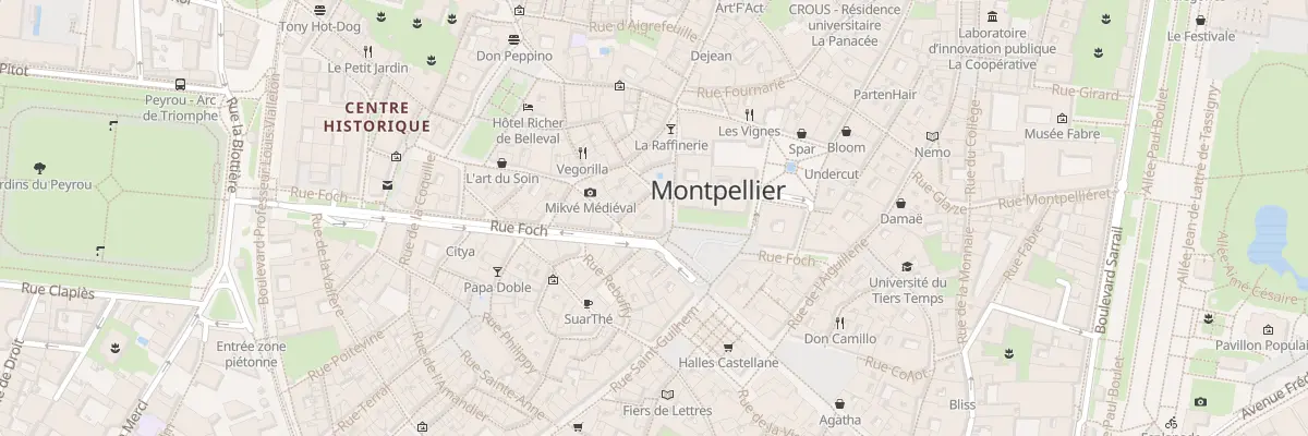 Plan du 3 Pl Chabaneau à Montpellier