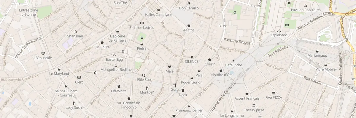 Plan du 20 Rue de l’Argenterie à Montpellier