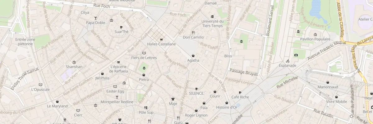 Plan du 2 Rue de l’Argenterie à Montpellier