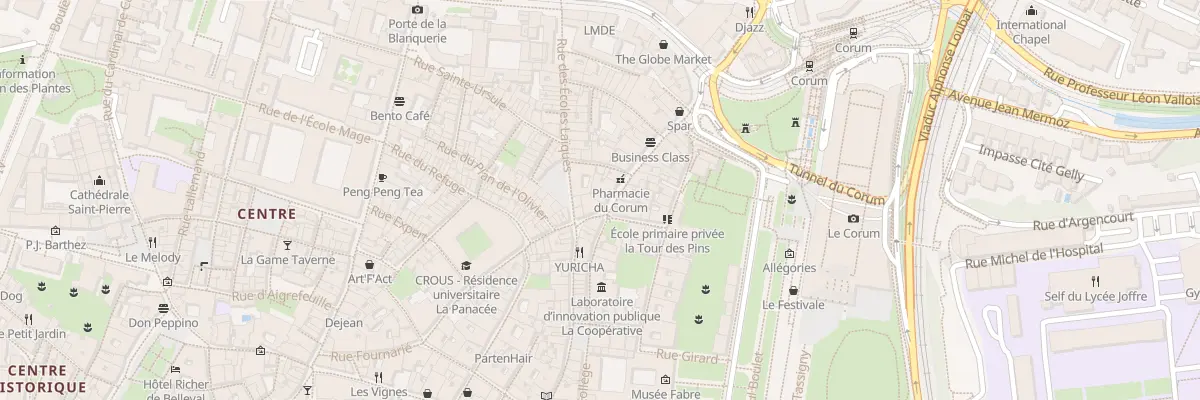 Plan du 3 Rue du Pila Saint Gély à Montpellier