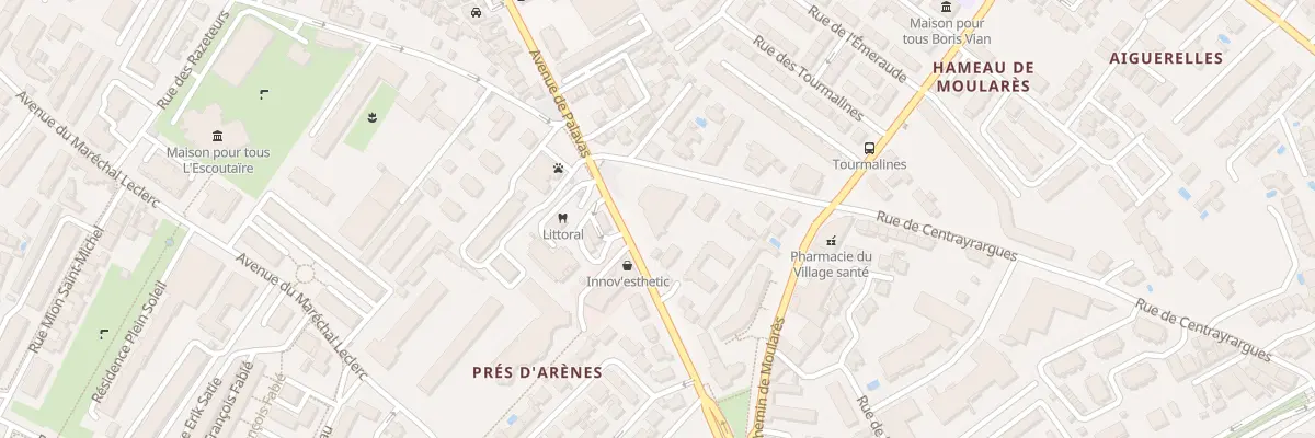Plan du 87 Av de Palavas à Montpellier