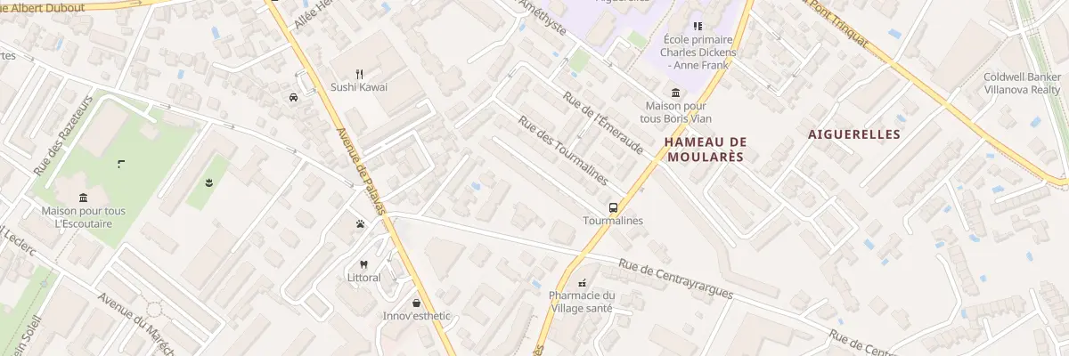 Plan du 1282 Che de Moularès à Montpellier