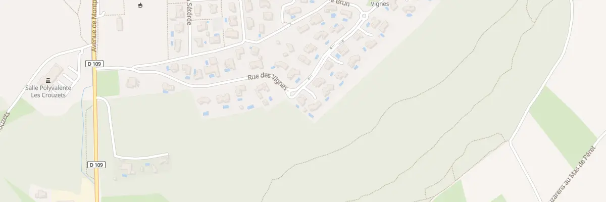 Plan du 455 Rue des Vignes à Assas