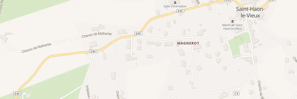 Plan du 339 Rue de Magnerot à Saint-Haon-le-Vieux