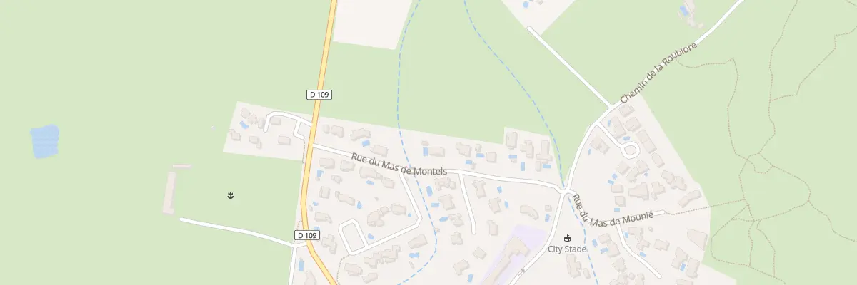 Plan du 155 Rue du Mas de Montels à Sainte-Croix-de-Quintillargues