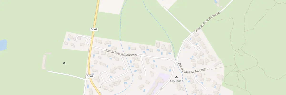 Plan du 175 Rue du Mas de Montels à Sainte-Croix-de-Quintillargues