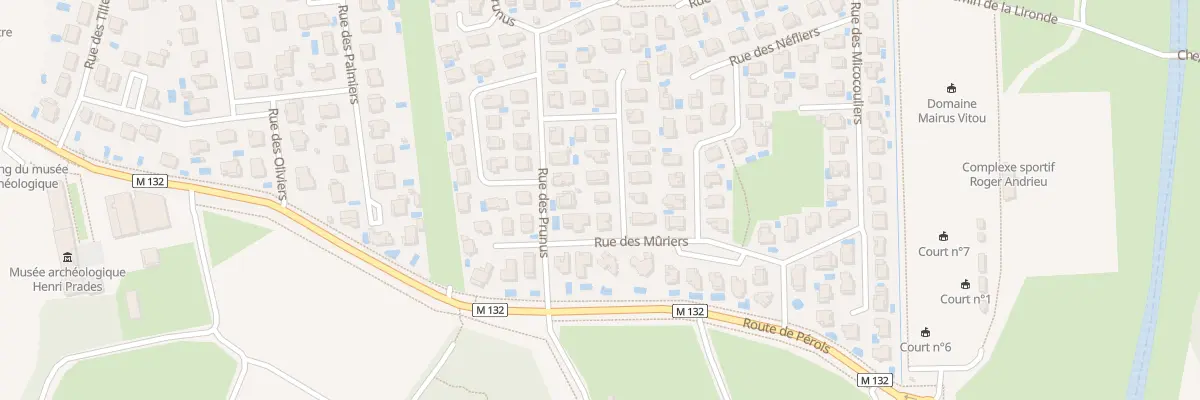 Plan du 10 Rue des Citronniers à Lattes