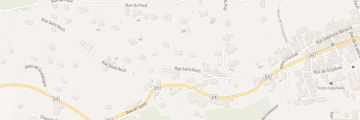Plan du 250 Rue de Saint-Roch à Renaison