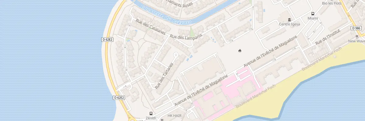 Plan du 42 Rue des Tartanes à Palavas-les-Flots