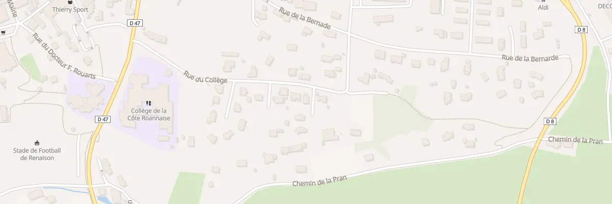 Plan du 316 Rue du Collège à Renaison