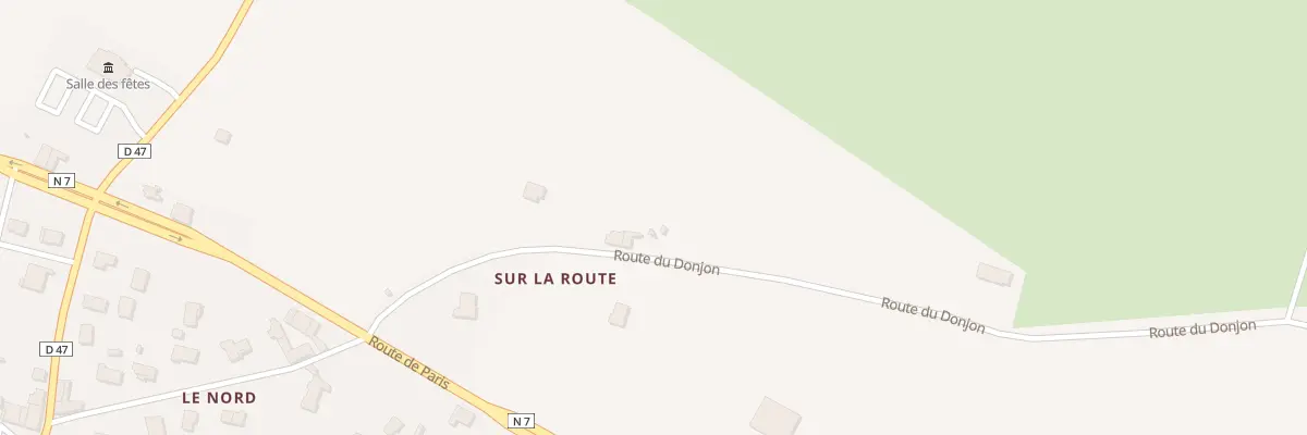 Plan du 225 Rte du Donjon à Saint-Forgeux-Lespinasse
