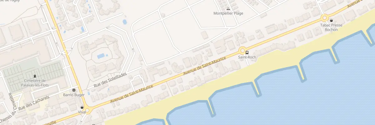 Plan du 45 Av Saint Maurice à Palavas-les-Flots