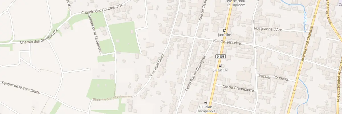 Plan du 19 Rue Haie Leleu à Épernay
