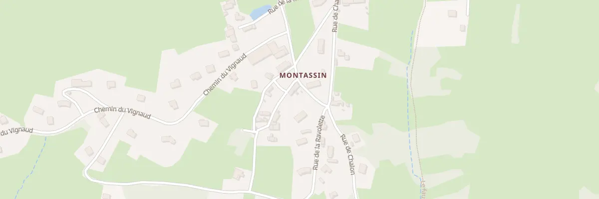Plan du 49 Rue de Montassin à La Motte-Saint-Jean