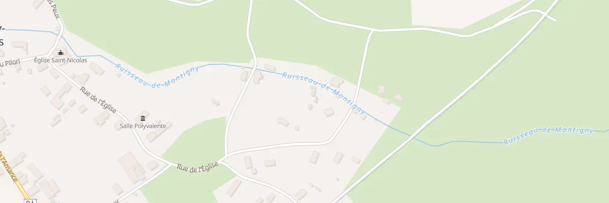 Plan de Brut Poule à Montigny-les-Monts