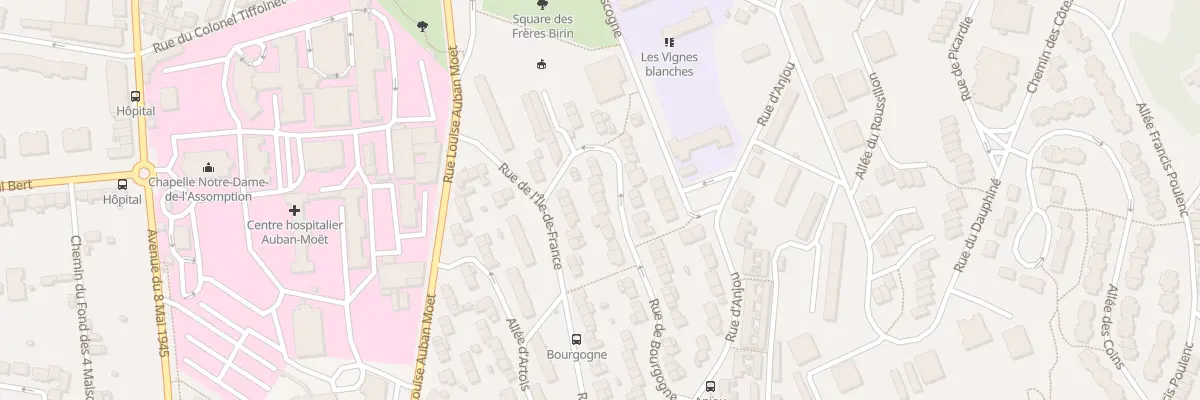 Plan du 10 Rue de Bourgogne à Épernay