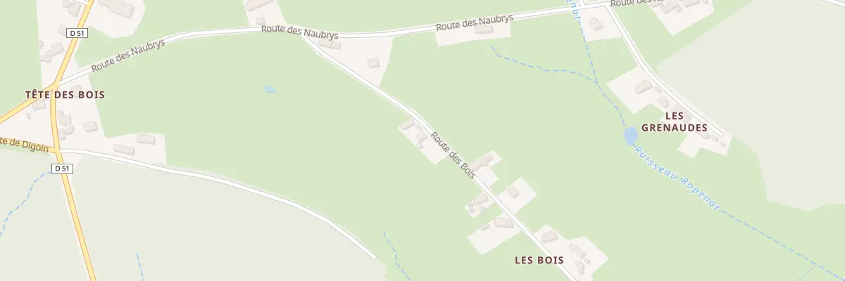 Plan du 170 Rte des Bois à Neuvy-Grandchamp