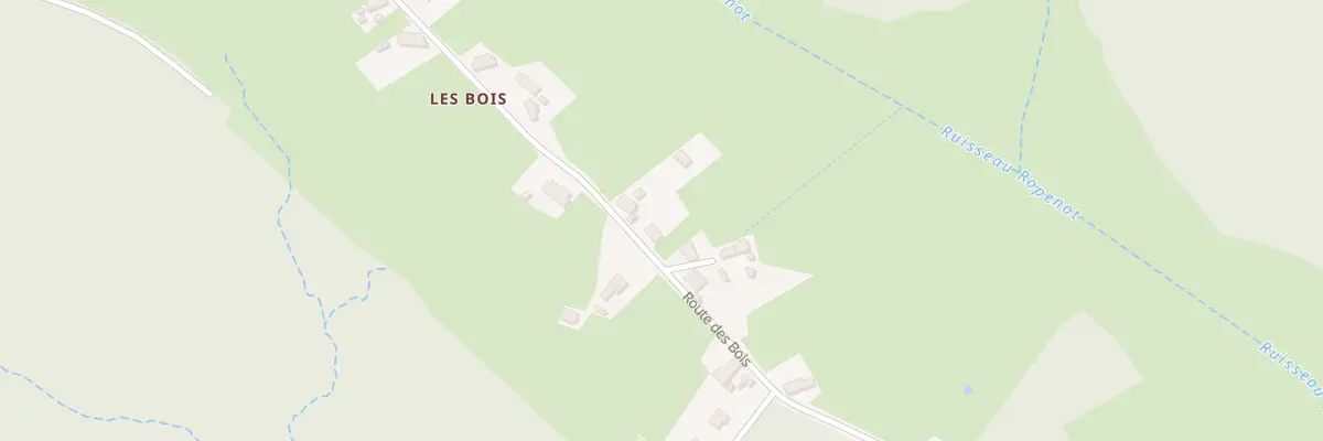 Plan du 545 Rte des Bois à Neuvy-Grandchamp
