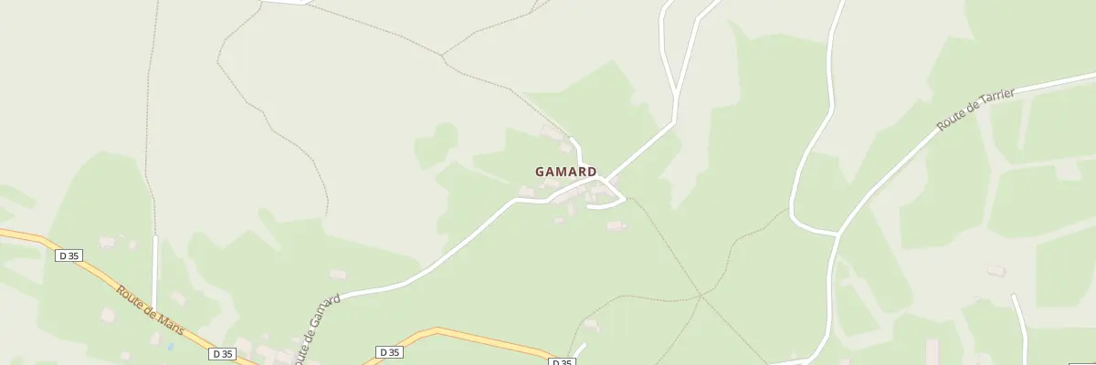 Plan du 325 Rte de Gamard à Roche-en-Régnier