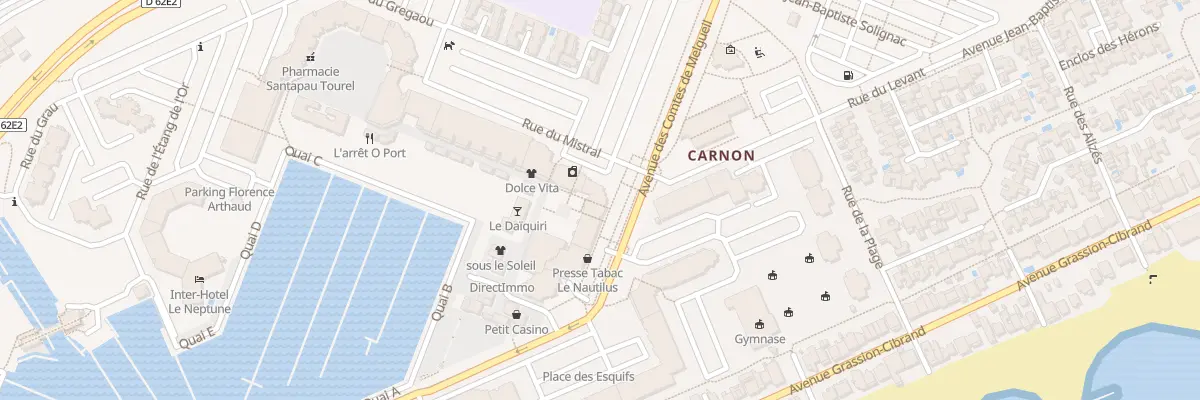 Plan du 224 Av Comtes de Melgueil Carnon à Mauguio