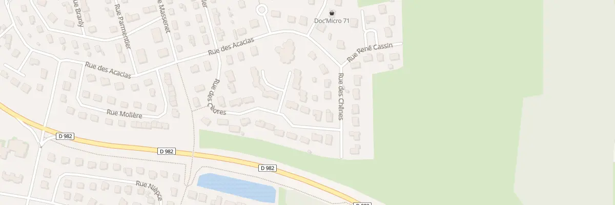 Plan du 35 Rue des Cèdres à Digoin