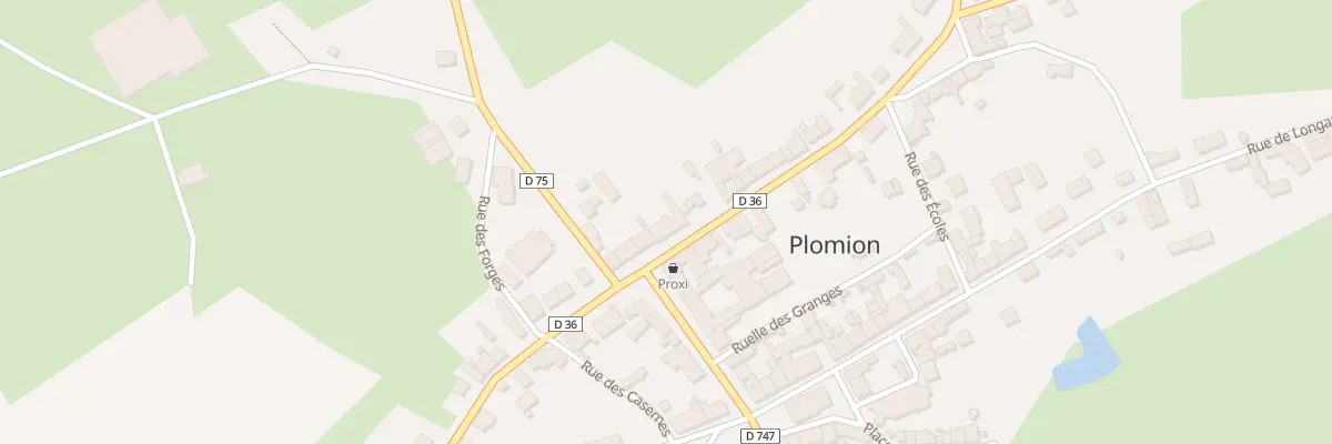 Plan du 79 Rue du Gen Leclerc à Plomion