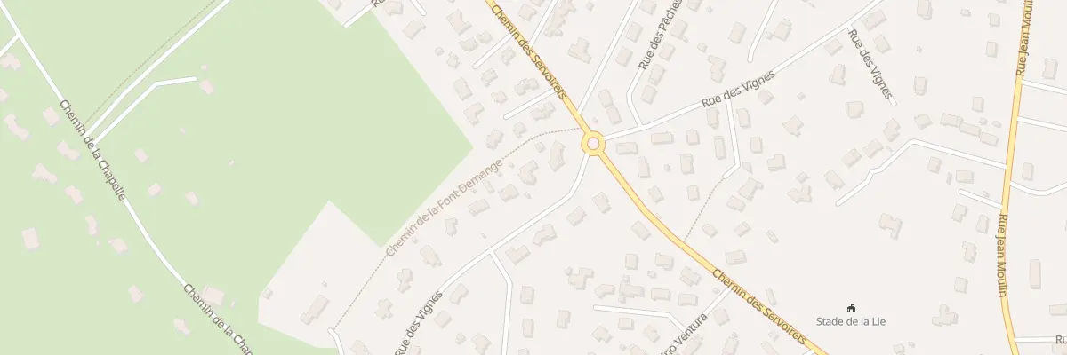 Plan du 446 Rue des Vignes à Villerest