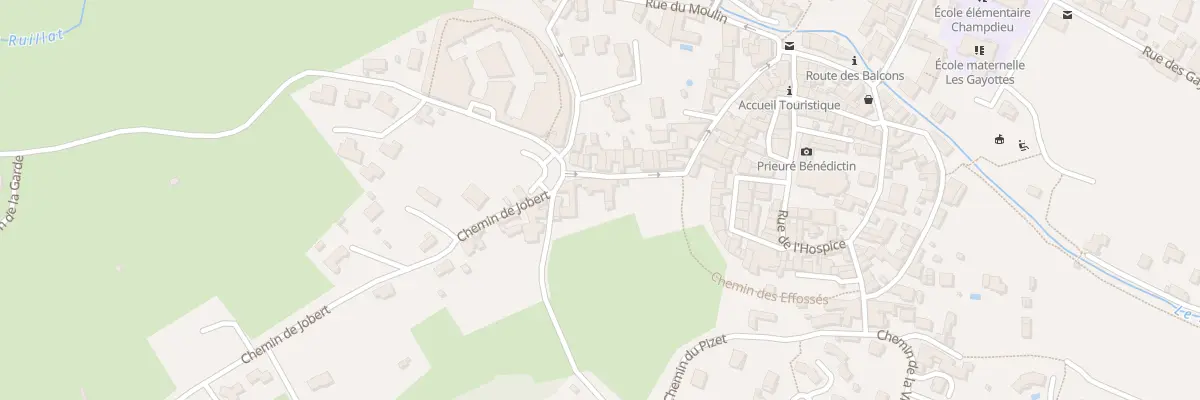 Plan du 203 Rue de l’Arzalier à Champdieu
