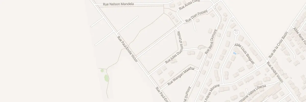 Plan du 11 Rue Dian Fossey à Bétheny