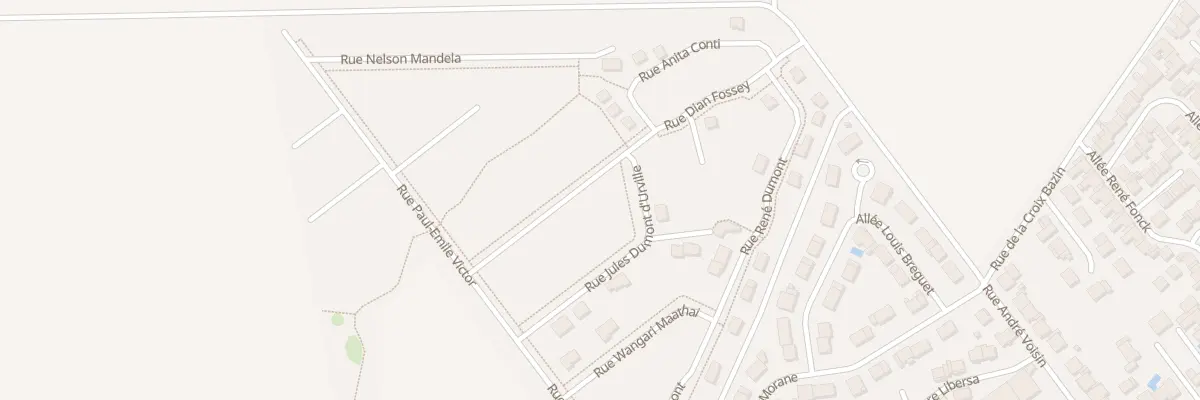 Plan du 25 Rue Dian Fossey à Bétheny