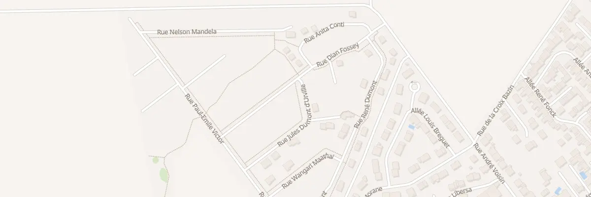 Plan du 29 Rue Dian Fossey à Bétheny