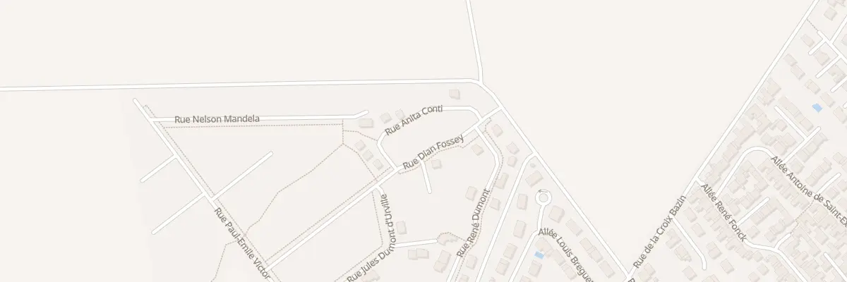Plan du 20 Rue Dian Fossey à Bétheny