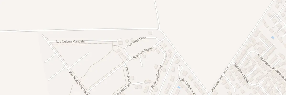Plan du 22 Rue Dian Fossey à Bétheny