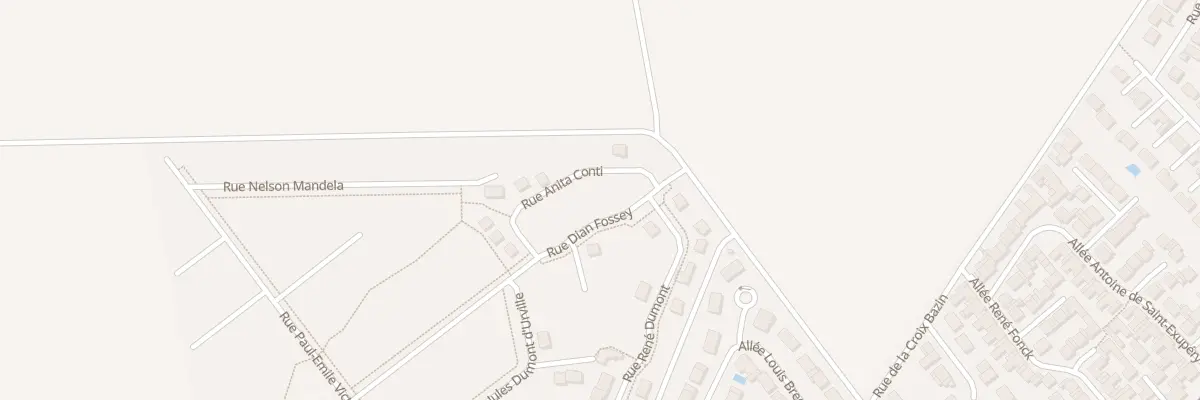 Plan du 24 Rue Dian Fossey à Bétheny