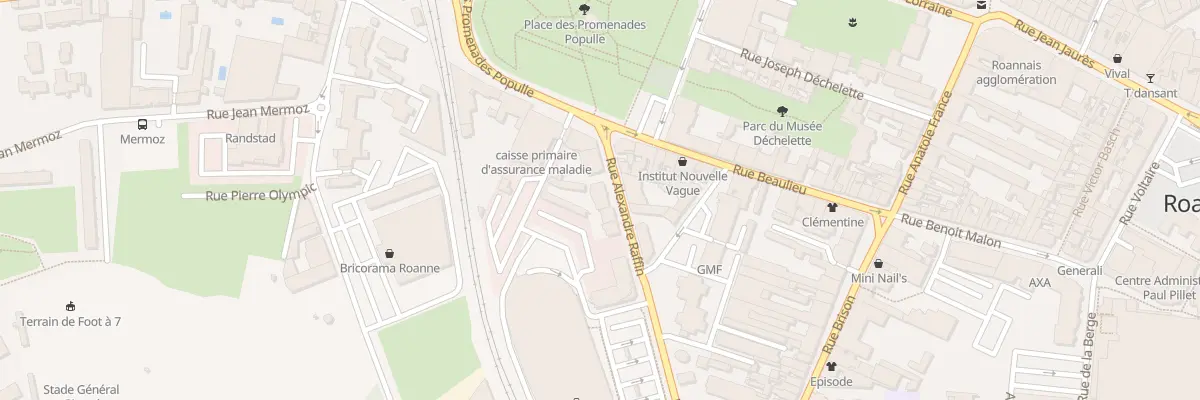 Plan du 39 Rue Alexandre Raffin à Roanne
