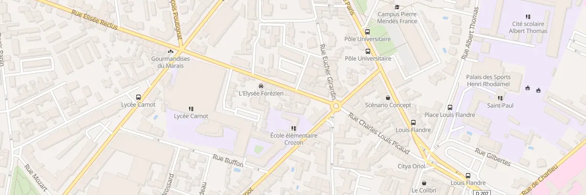 Plan du 13 Rue Elisée Reclus à Roanne