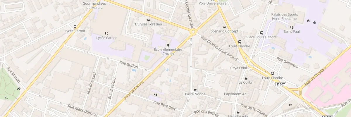 Plan du 46 Av Carnot à Roanne