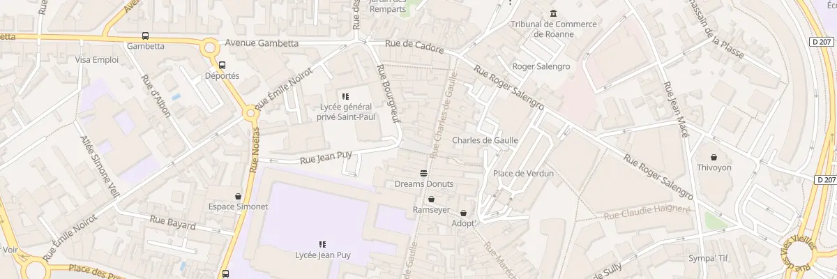 Plan du 2 Rue Bourgneuf à Roanne