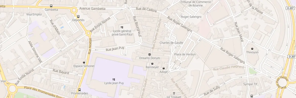 Plan du 1 Rue Bourgneuf à Roanne