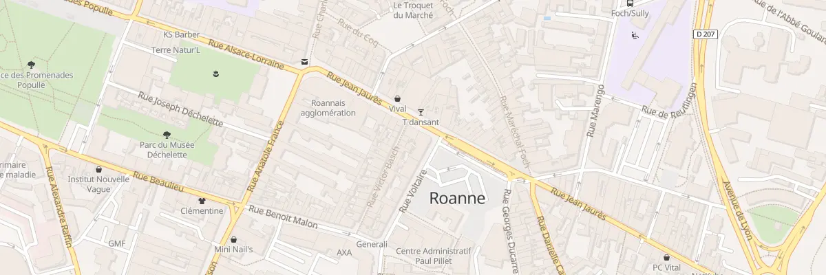 Plan du 51 Rue Jean Jaurès à Roanne