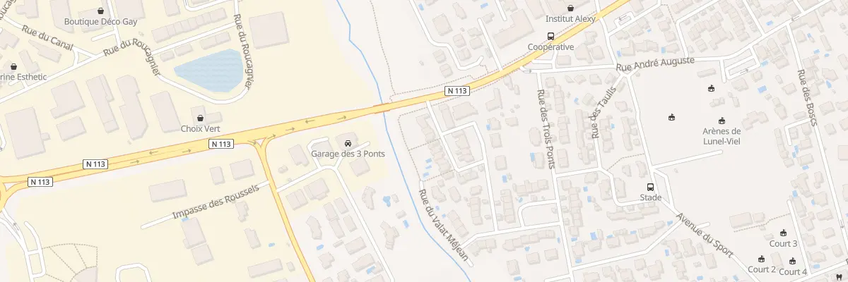 Plan du 80 Rue du Petit Murin à Lunel-Viel
