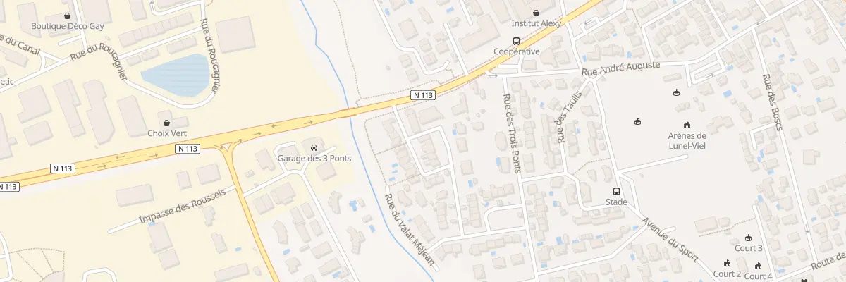 Plan du 65 Rue du Petit Murin à Lunel-Viel