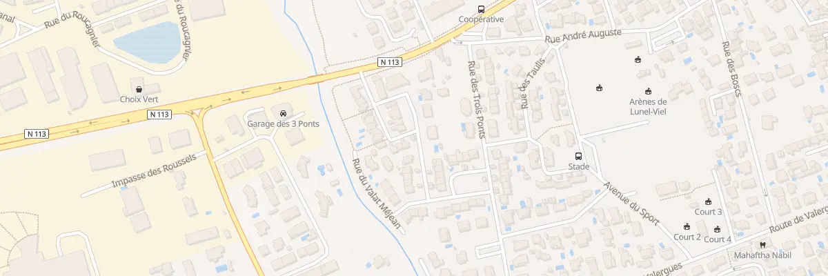 Plan du 4 Rue du Petit Murin à Lunel-Viel
