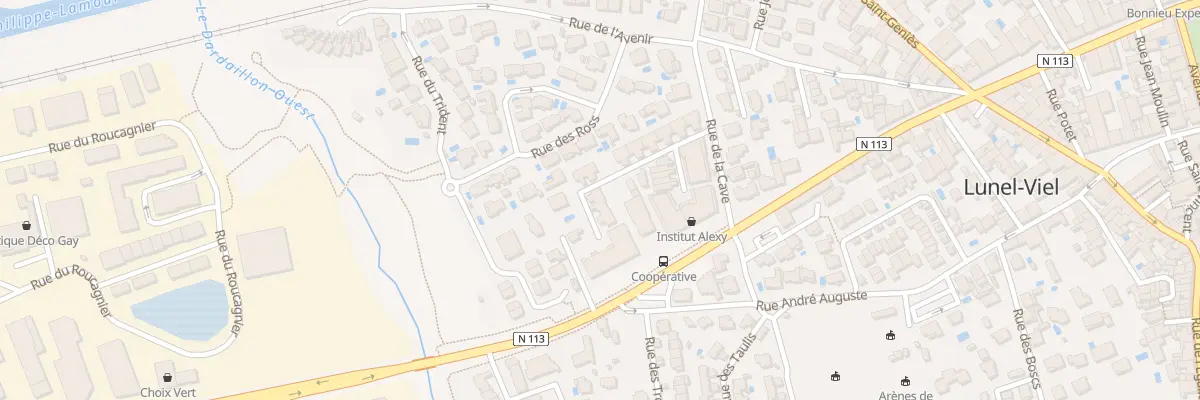 Plan du 121 Rue de Maraussan à Lunel-Viel