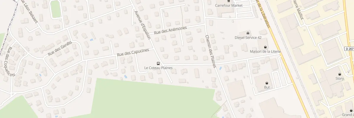 Plan du 22 Rue du Docteur Charcot au Coteau