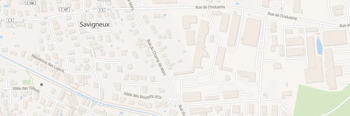 Plan du 23 Rue du Champ de Mars à Savigneux